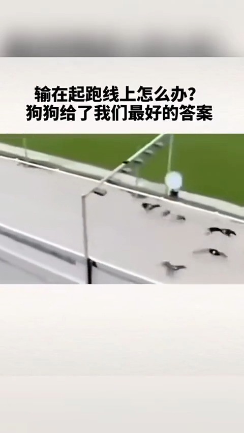 输在起跑线上怎么办?