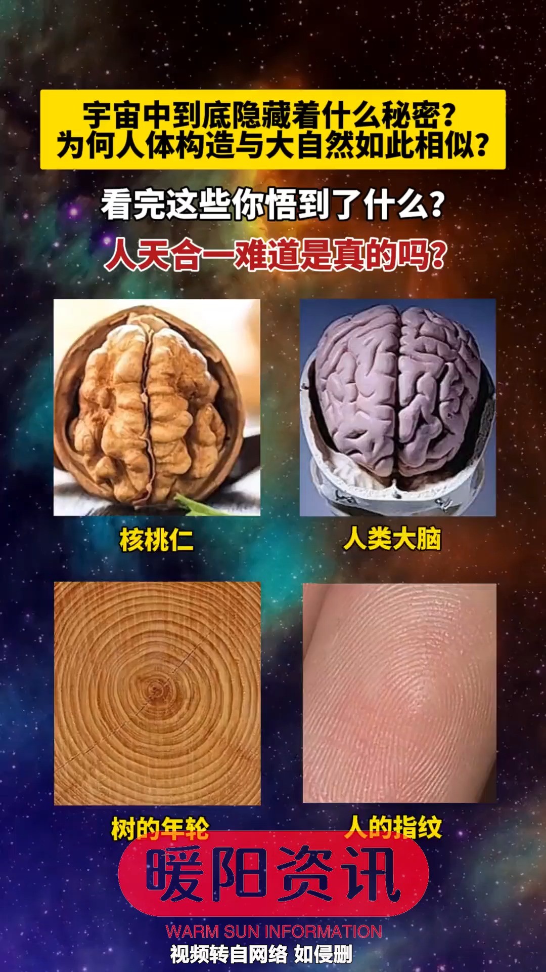 宇宙中到底隐藏着什么秘密?为何人体构造与大自然如此相似? 