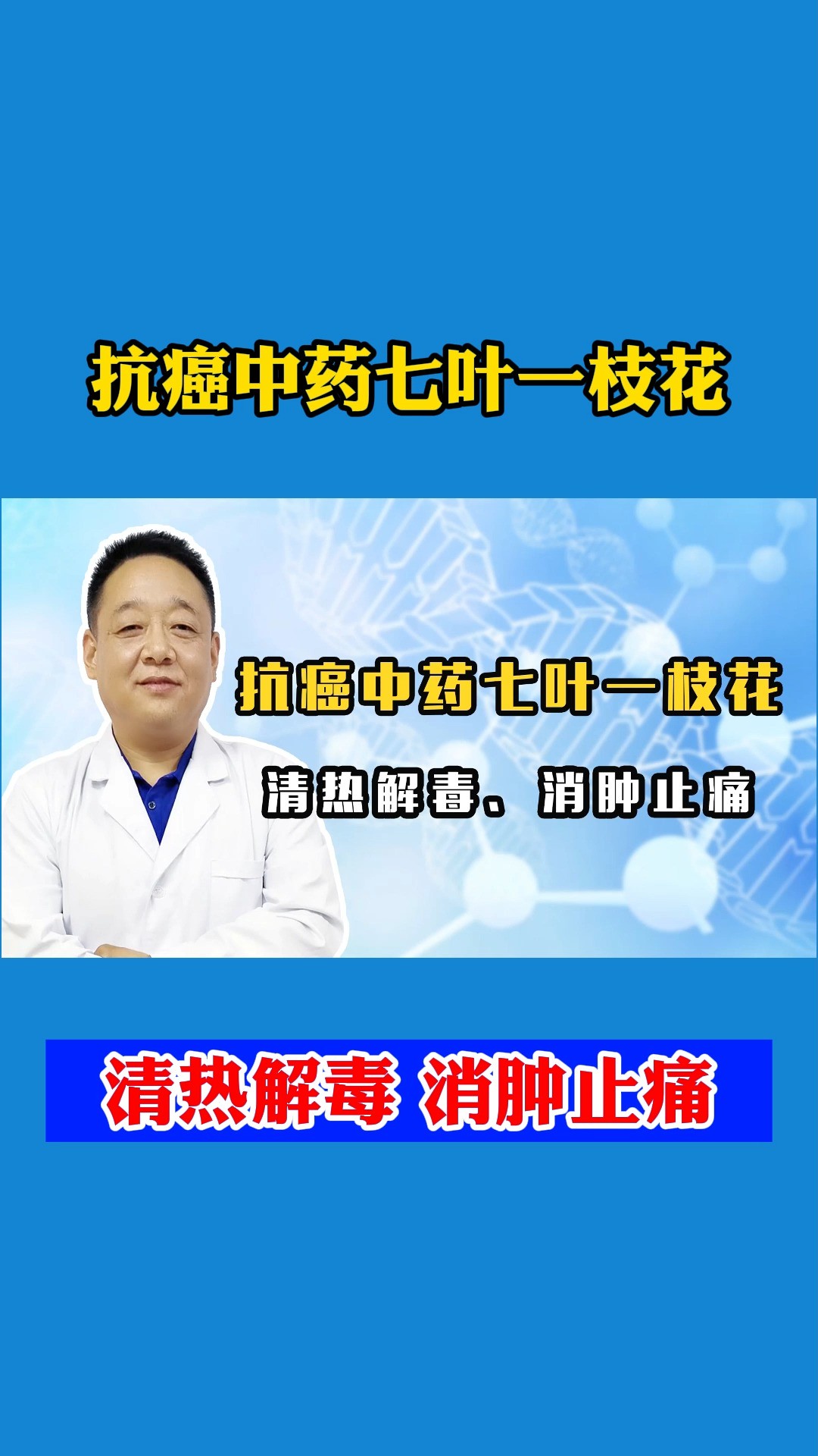 中医分享抗癌中药七叶一枝花,适用多种癌症,清热解毒、消肿止痛#抗癌 #健康科普 