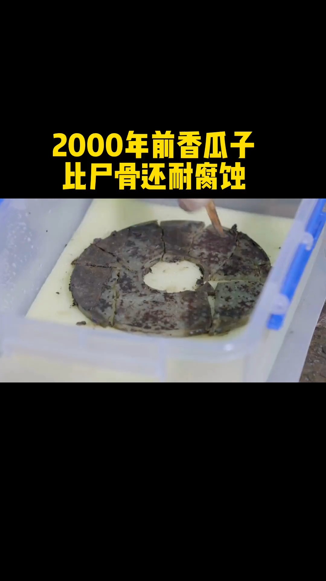 2000年前的香瓜子,出土时完好无损,揭秘刘贺死亡之谜?