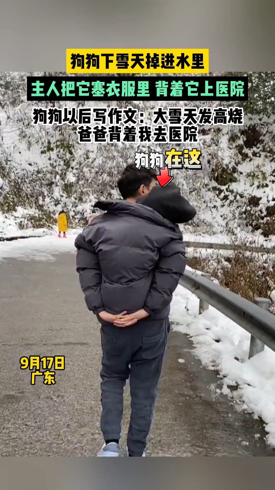 (来源:@钢蛋小弟钢丝球 )狗狗下雪天掉进水里,主人把它塞衣服里 背着它上医院,狗狗以后写作文:大雪天发高烧,爸爸背着我去医院#萌宠 #可爱 #狗...