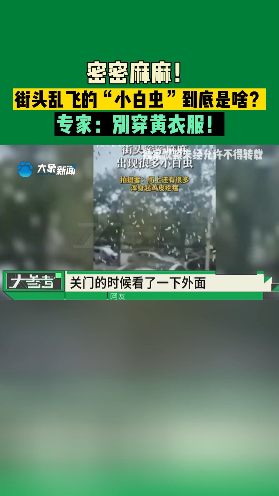 密密麻麻!街头乱飞的“小白虫”到底是啥?专家:别穿黄衣服!