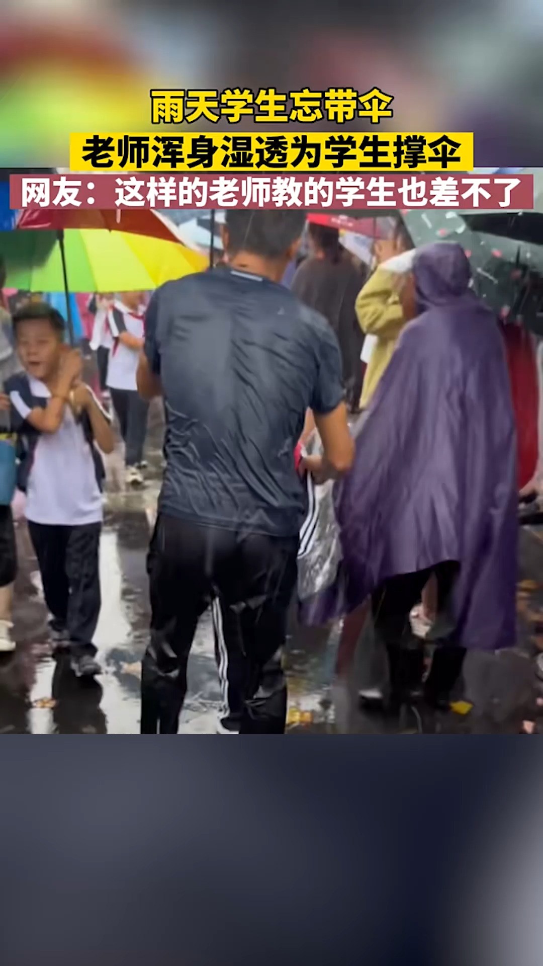 雨天学生忘带伞,老师浑身湿透为学生撑伞,网友:这样的老师教的学生也差不了.