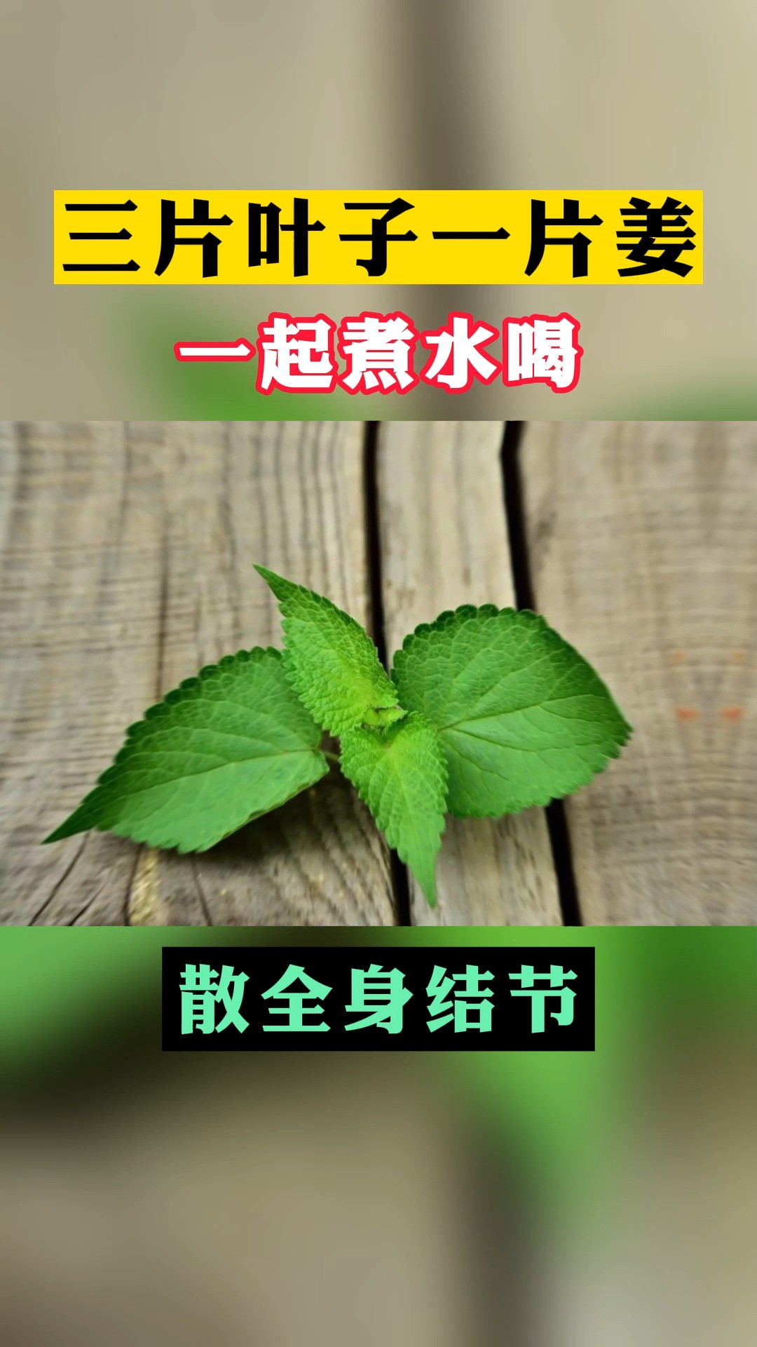 点我头像,主页十V信672253 #中医 #健康科普 #肺结节 #甲状腺结节 #中医健康 