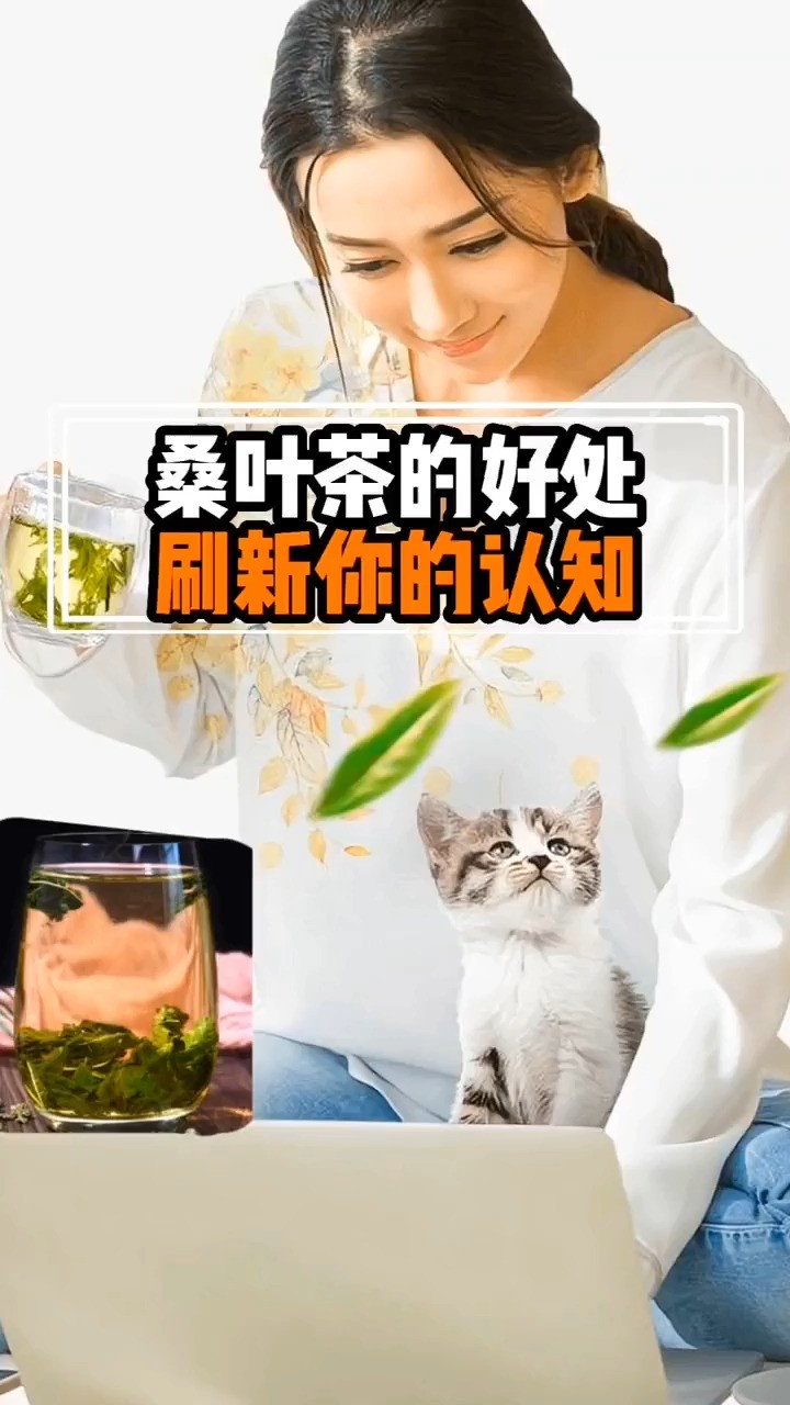 桑叶茶的好处#科普