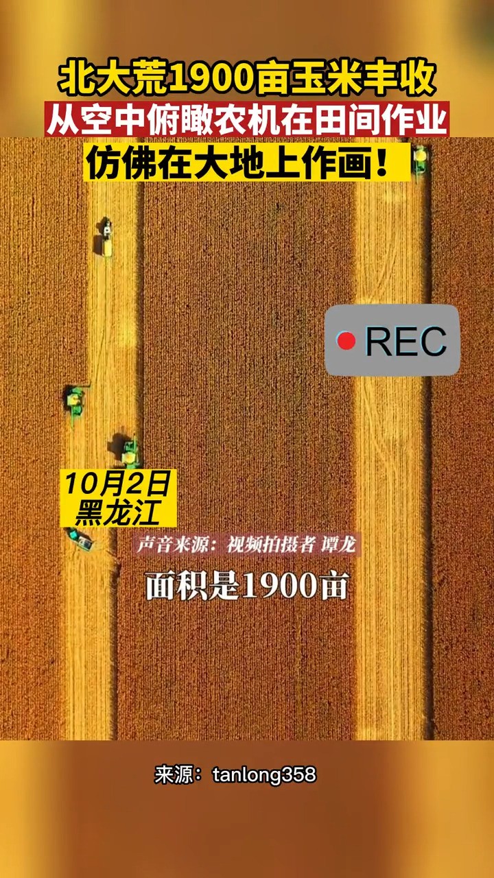 北大荒1900亩玉米丰收,从空中俯瞰农机在田间作业,仿佛在大地上作画!