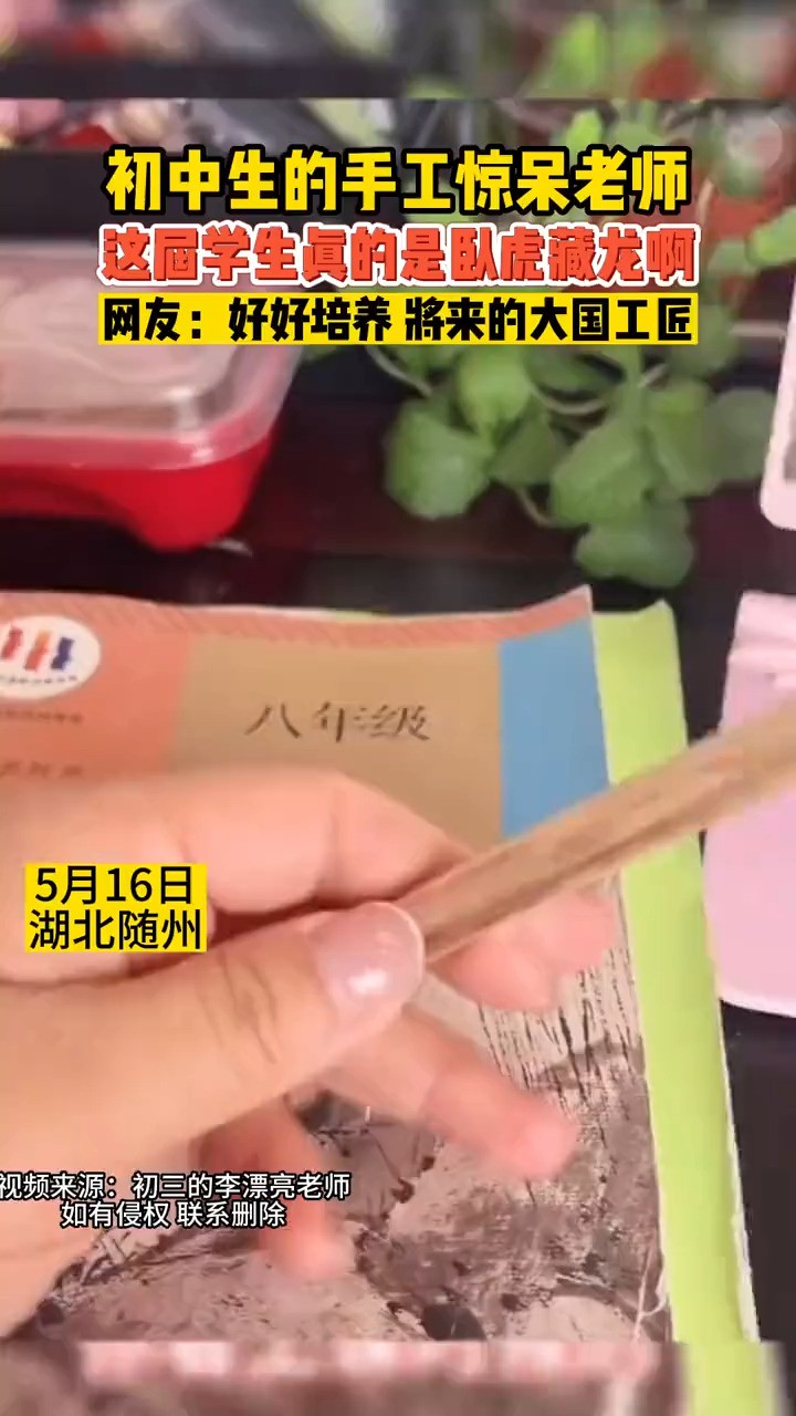 初中生的手工惊呆老师