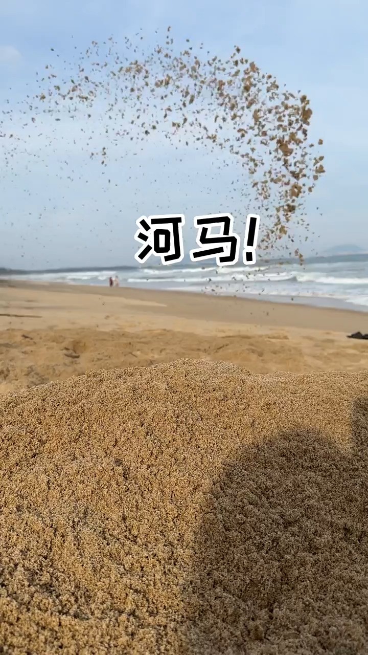 . 旅行日记