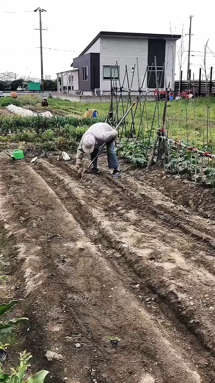 海外生活#日本农村生活