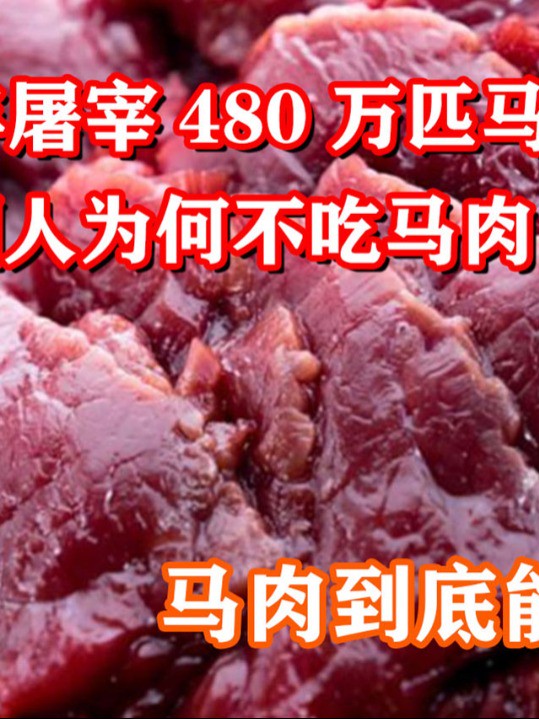 全球每年屠宰480万匹马,我国人为何不吃马肉,马肉到底能不能吃