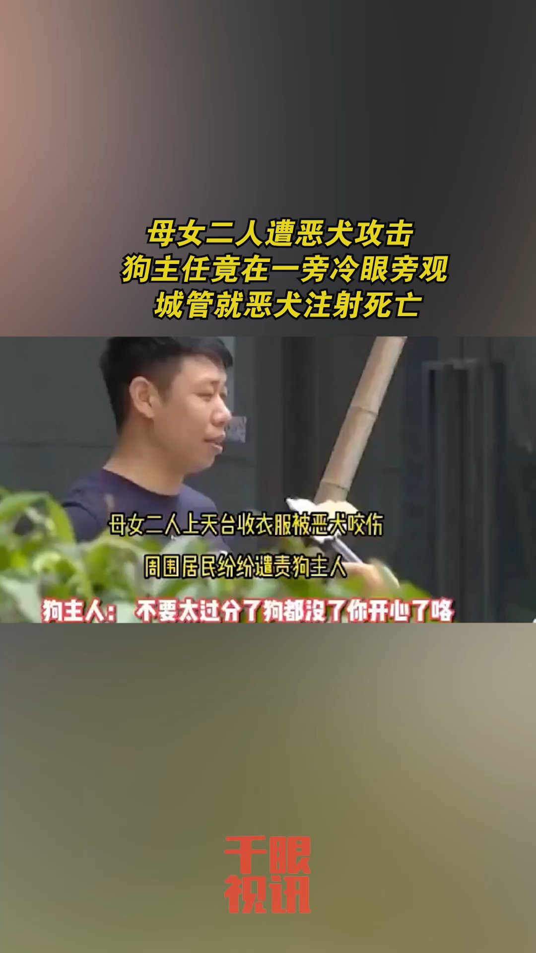 母女二人遭恶犬攻击 狗主任竟在一旁冷眼旁观观 城管就恶犬注射死亡