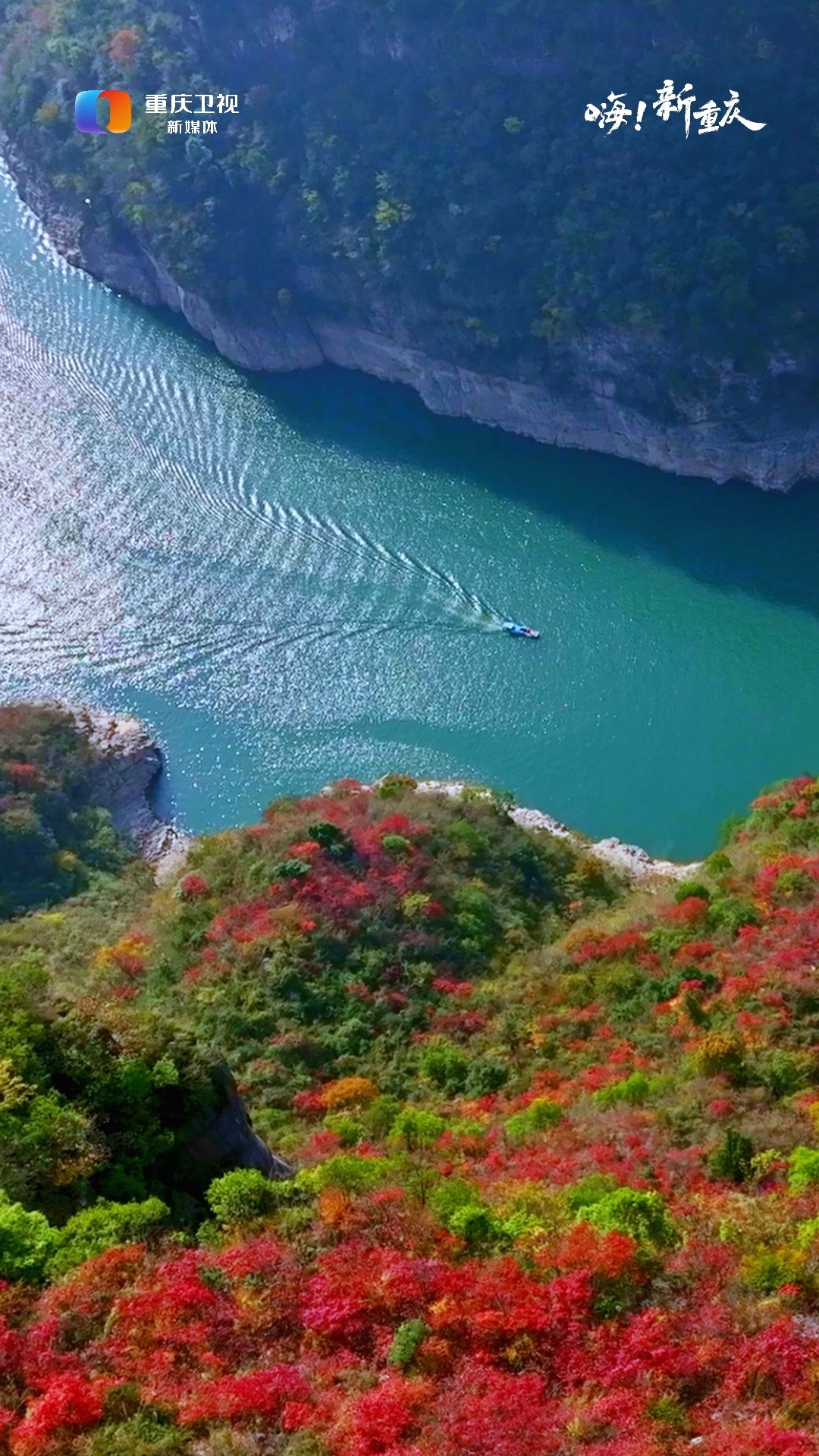 嗨!新重庆 | 漫山红叶层林尽染,高峡平湖相映成趣,巫山红叶即将迎来“醉”美观赏季.(摄影:巫山旅发集团 汪长征 ) 视频征集邮箱:cqtvxmt023@qq....