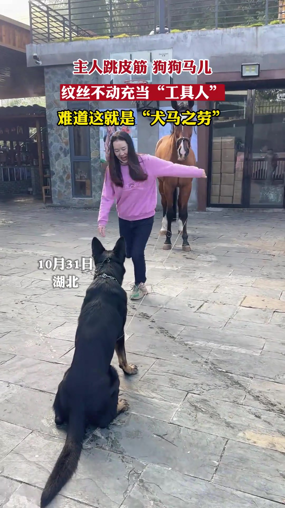 难道这就是“犬马之劳”