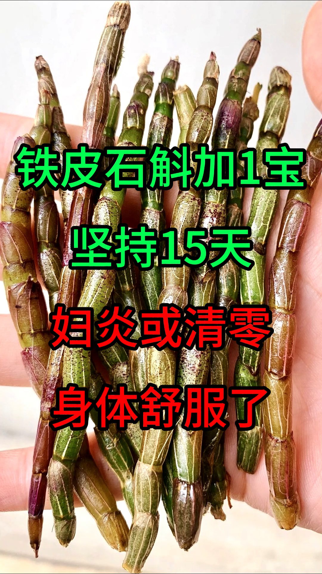 铁皮石斛加1宝,坚持15天,妇炎或清零,身体舒服了