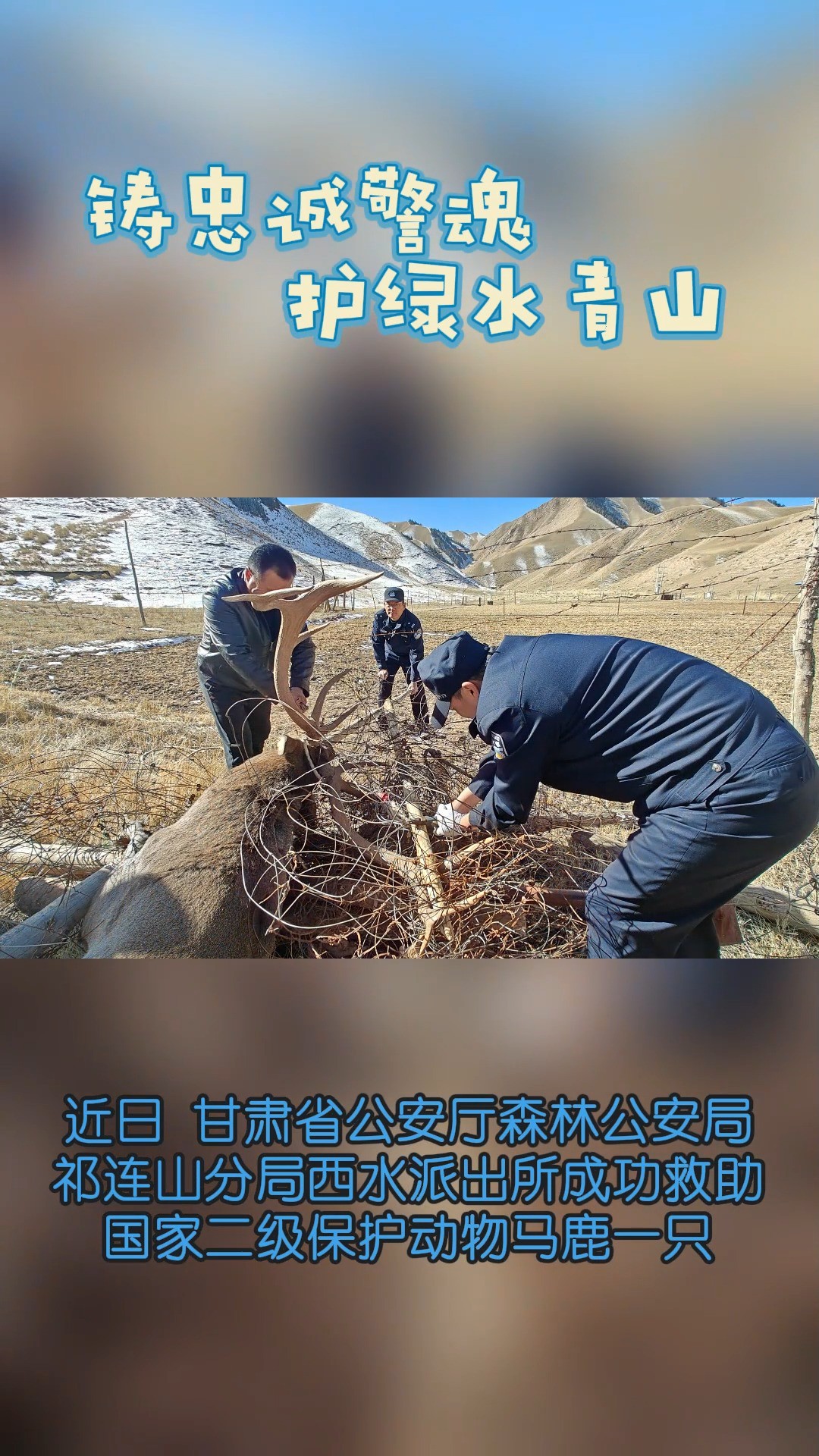 忠诚铸警魂,护绿水青山