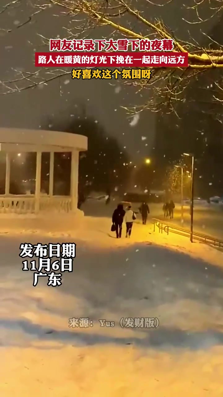 网友记录下大雪下的夜幕,路人在暖黄的灯光下挽在一起走向远方