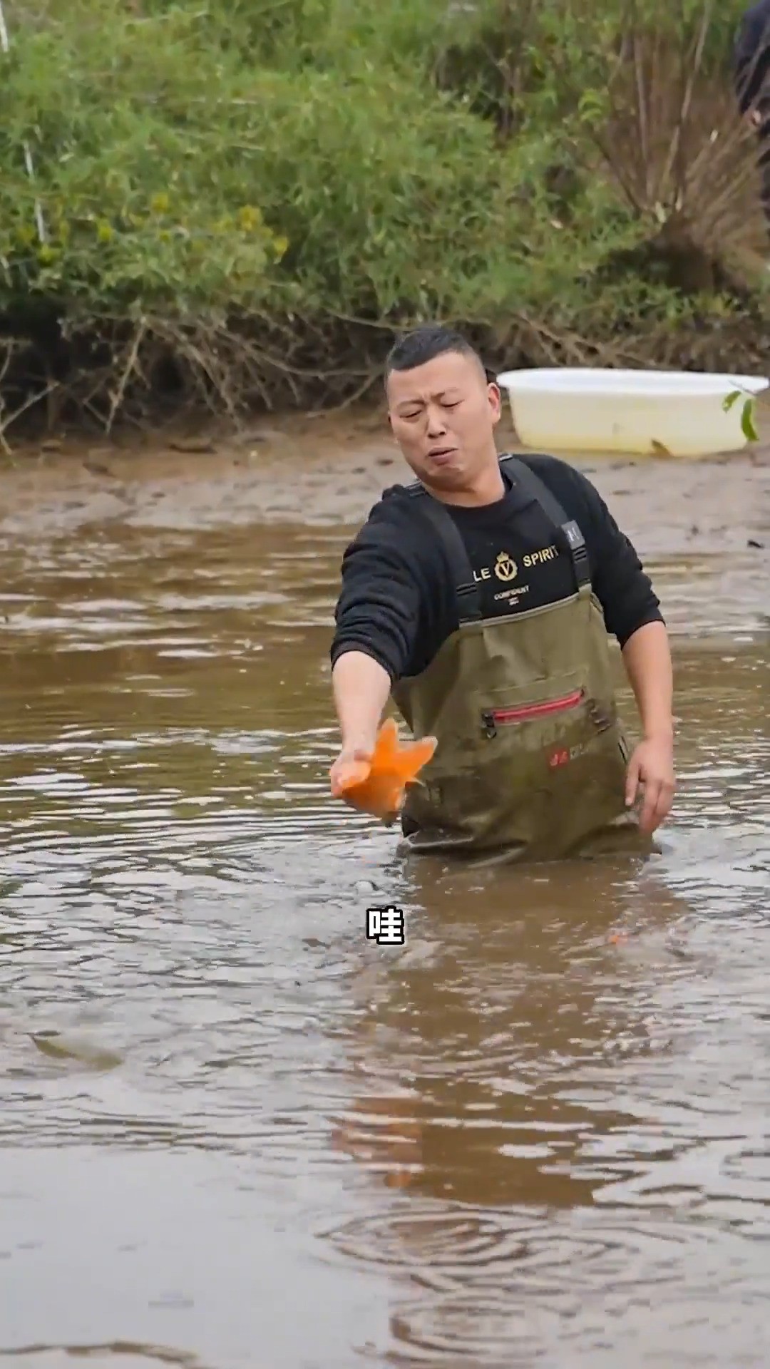 花1000包下一口鱼塘,里面的红鲤鱼清澈可见,大家感觉到底能上多少货?第三集