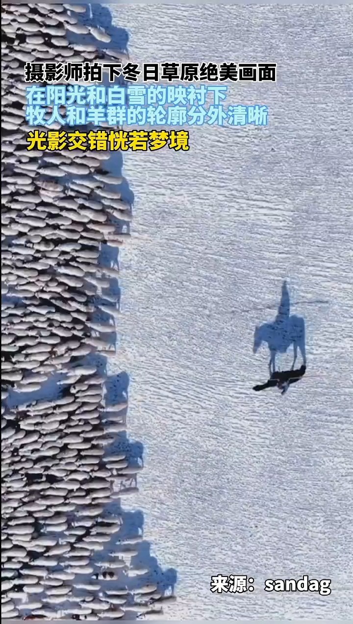 ...在阳光和白雪的映衬下,牧人和羊群的轮廓分外清晰,光影交错恍若梦境(来源:掌上巴彦淖尔)#草原雪景美如画 #向往的生活 #内蒙古冬日风景