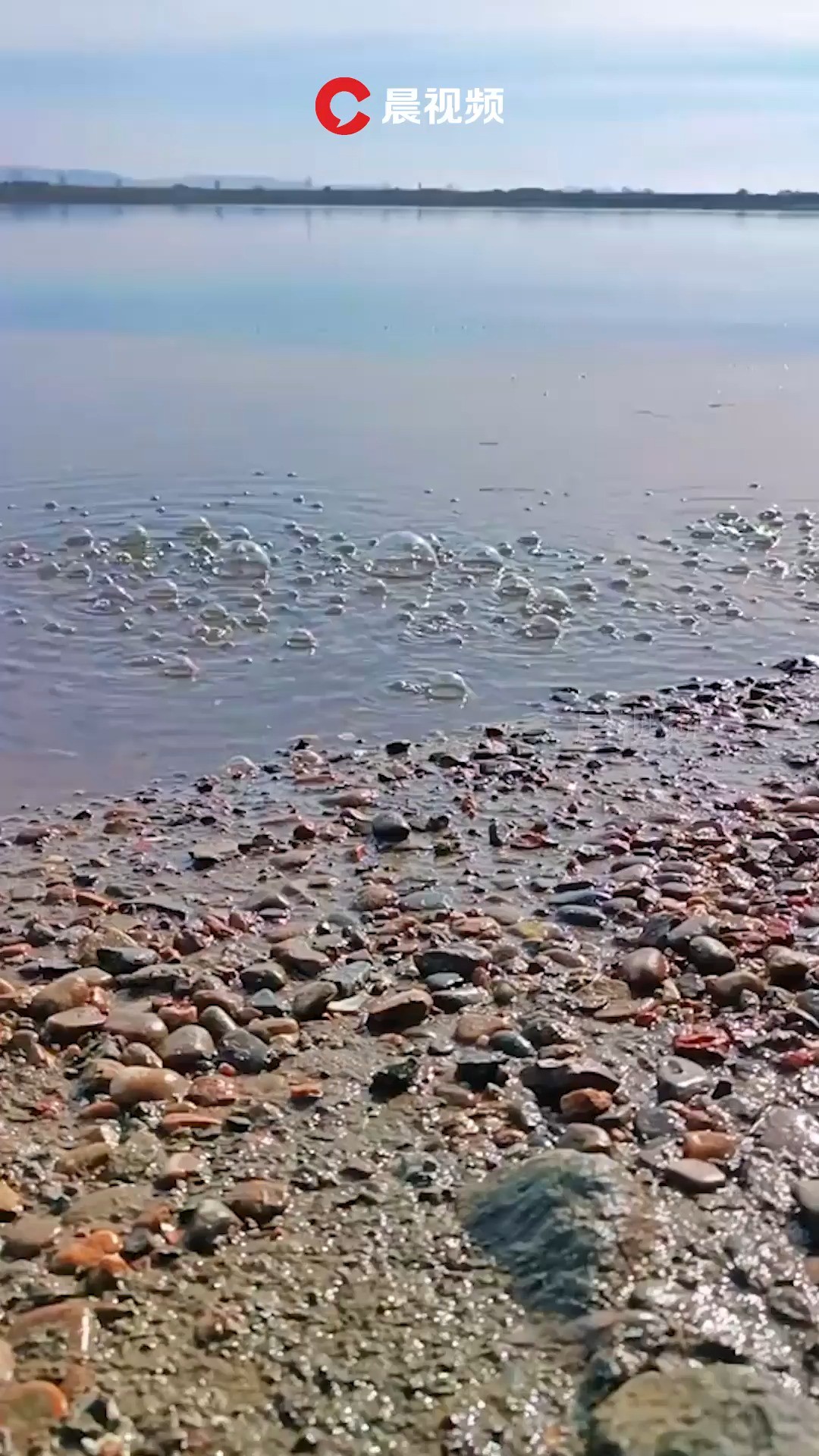 丹东地震局回应鸭绿江水里冒泡:建筑残土有空隙遇冷空气产生,和地震无关