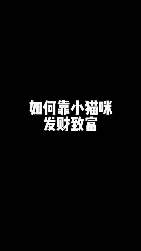 好像找到了一条靠小猫咪发家致富的道路