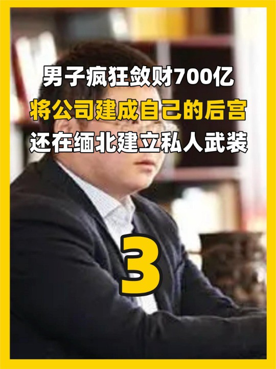 敛财700亿将公司当后宫,还在缅北建立私人武装,他凭什么这么狂(下)