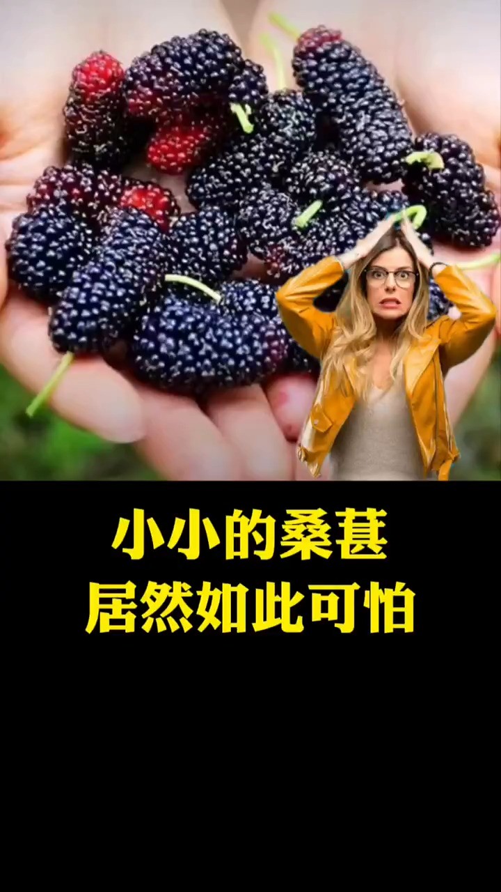 桑葚的功效居然如此可怕,看完绝对颠覆你的认知