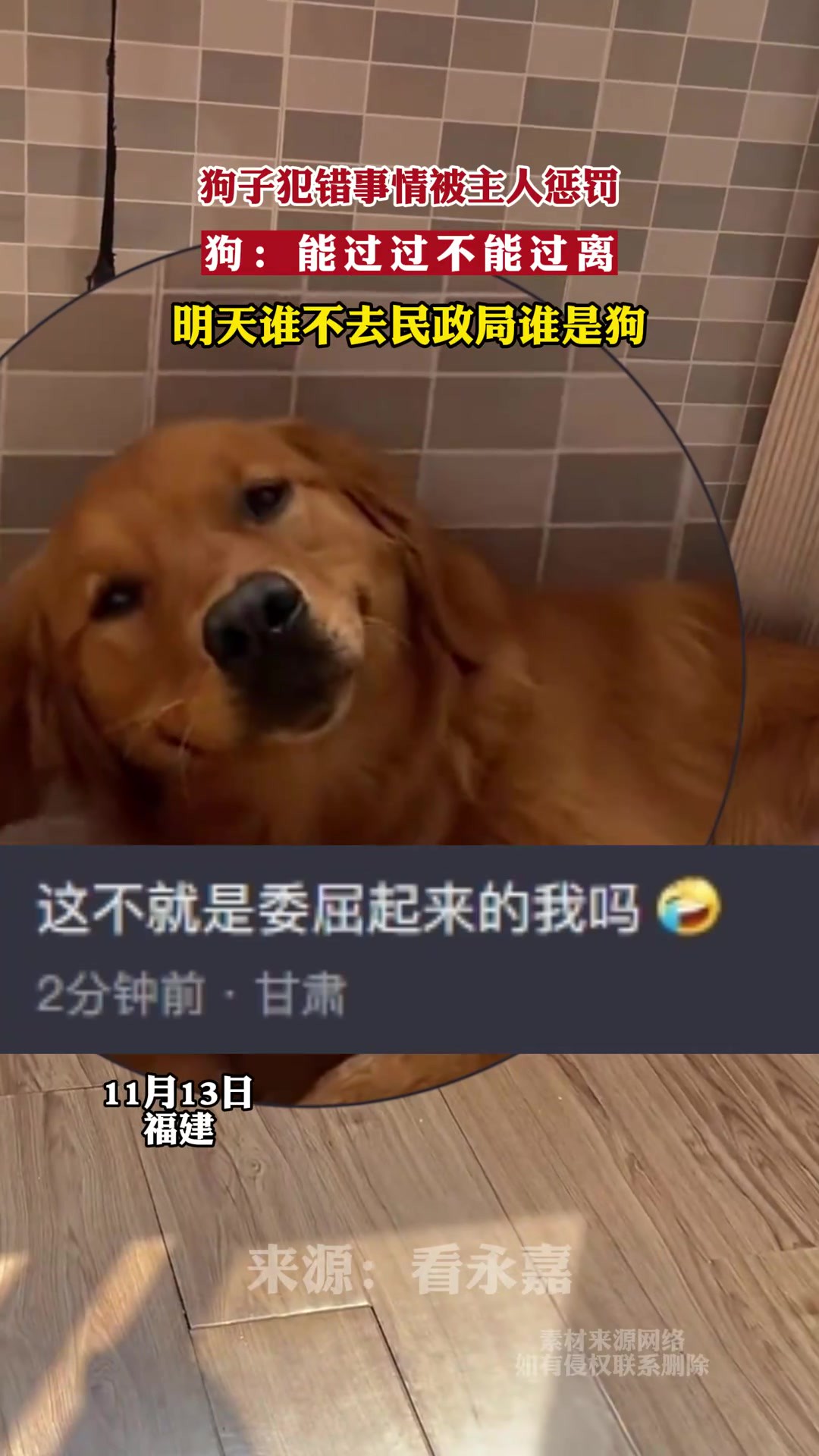 狗子犯错事情被主人惩罚,狗:“能过过,不能过离!”