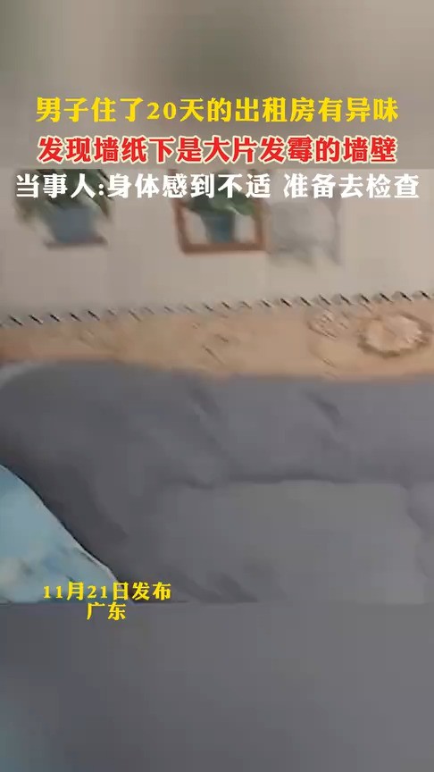 男子住了20天的出租房有异味发现墙纸下是大片发霉的墙壁当事人:身体感到不适 准备去检查