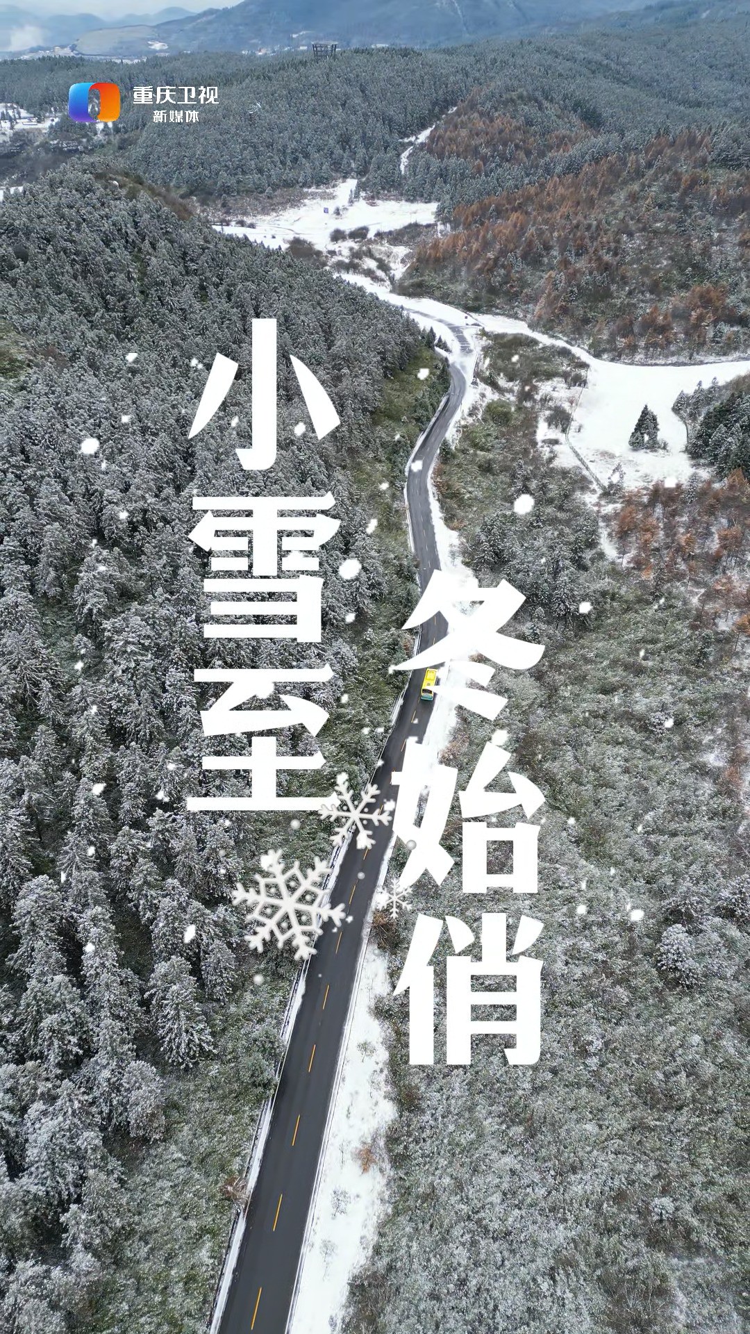 嗨!新重庆 | 小雪至,寒意浓,枝头绿叶尚未落尽,白雪又添新色,让我们一起邂逅浪漫雪景吧.(来源:@丰都文旅 田鸿杰)