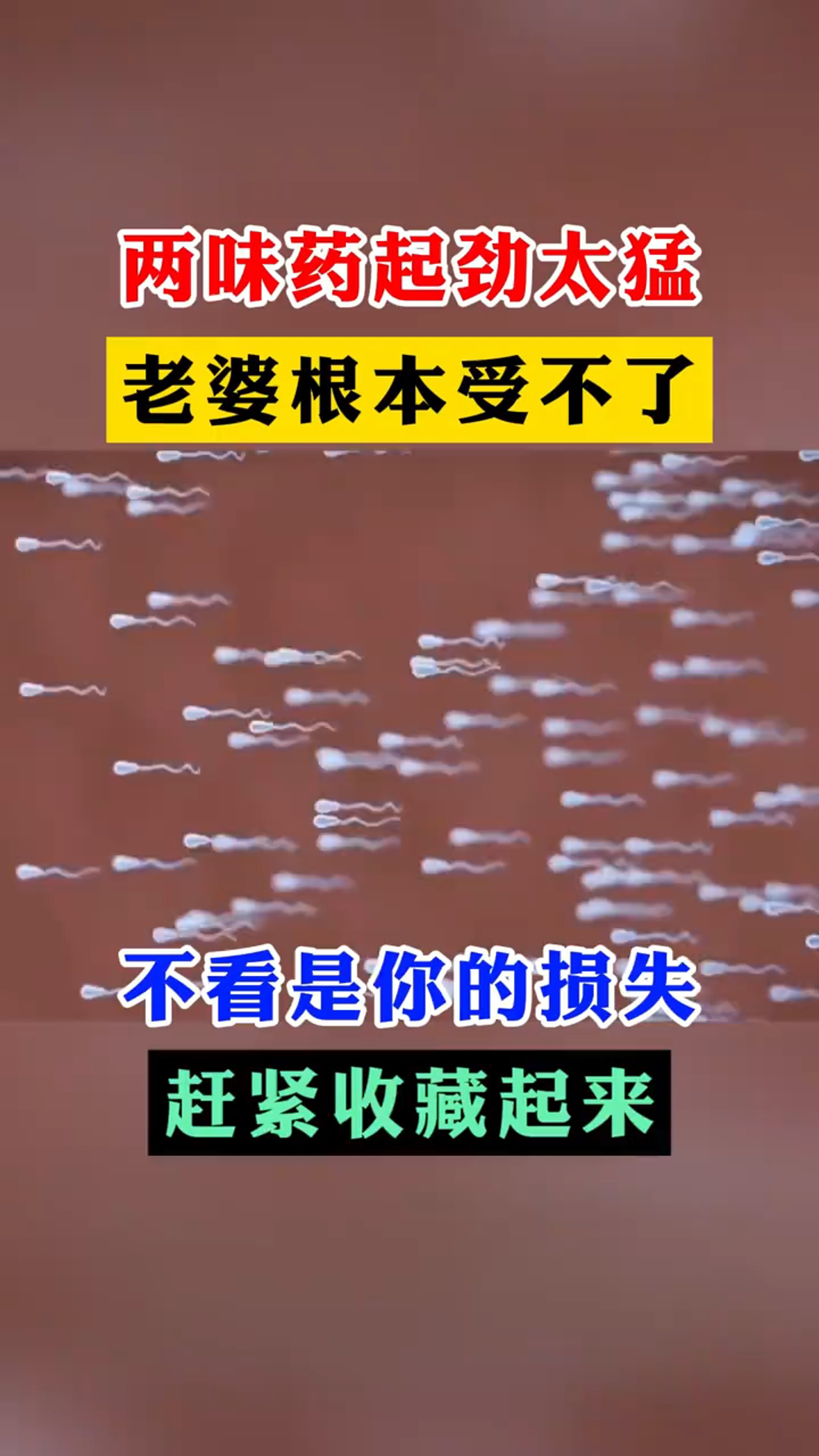 十主任徽信:6037092