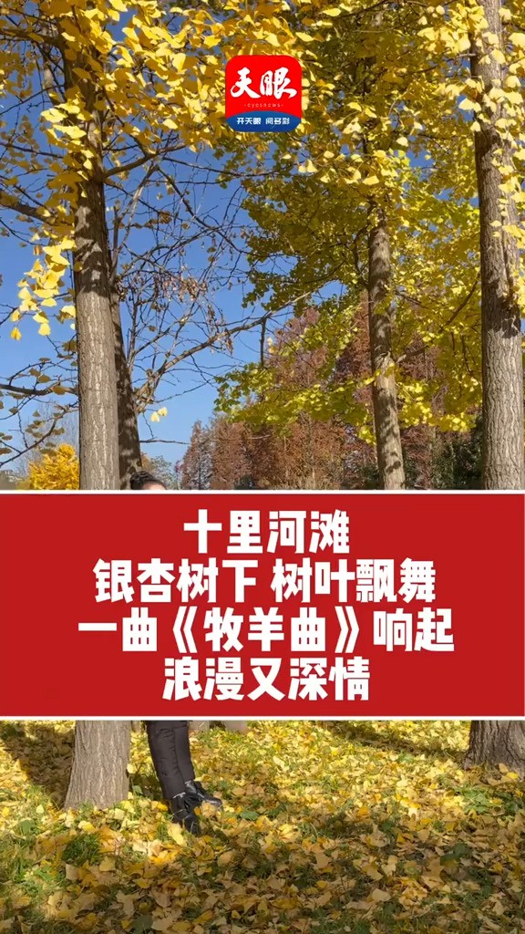 来自“爱乐之城”的浪漫!11月28日,贵阳持续晴好,位于贵阳市花溪区十里河滩湿地公园景色宜人,银杏树下 ,树叶飘舞,附近的居民在银杏树下吹起萨...