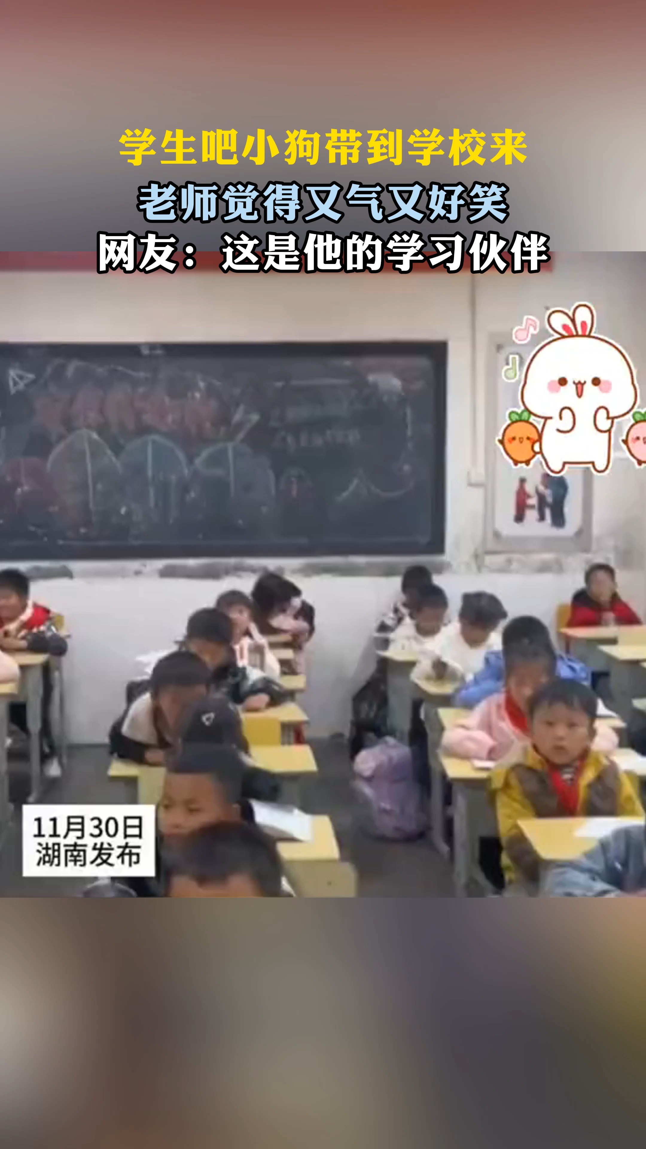 学习伙伴