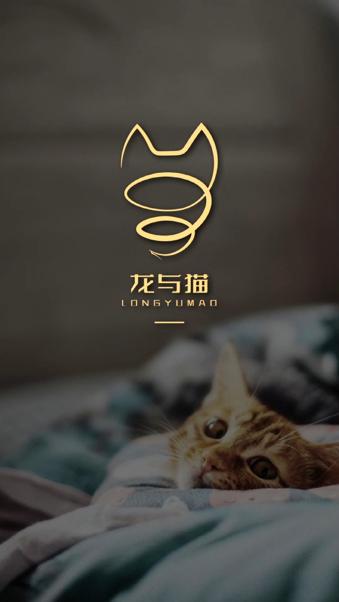 给龙和猫设计个LOGO#logo设计 #创意 #原创 #龙猫 #动物 