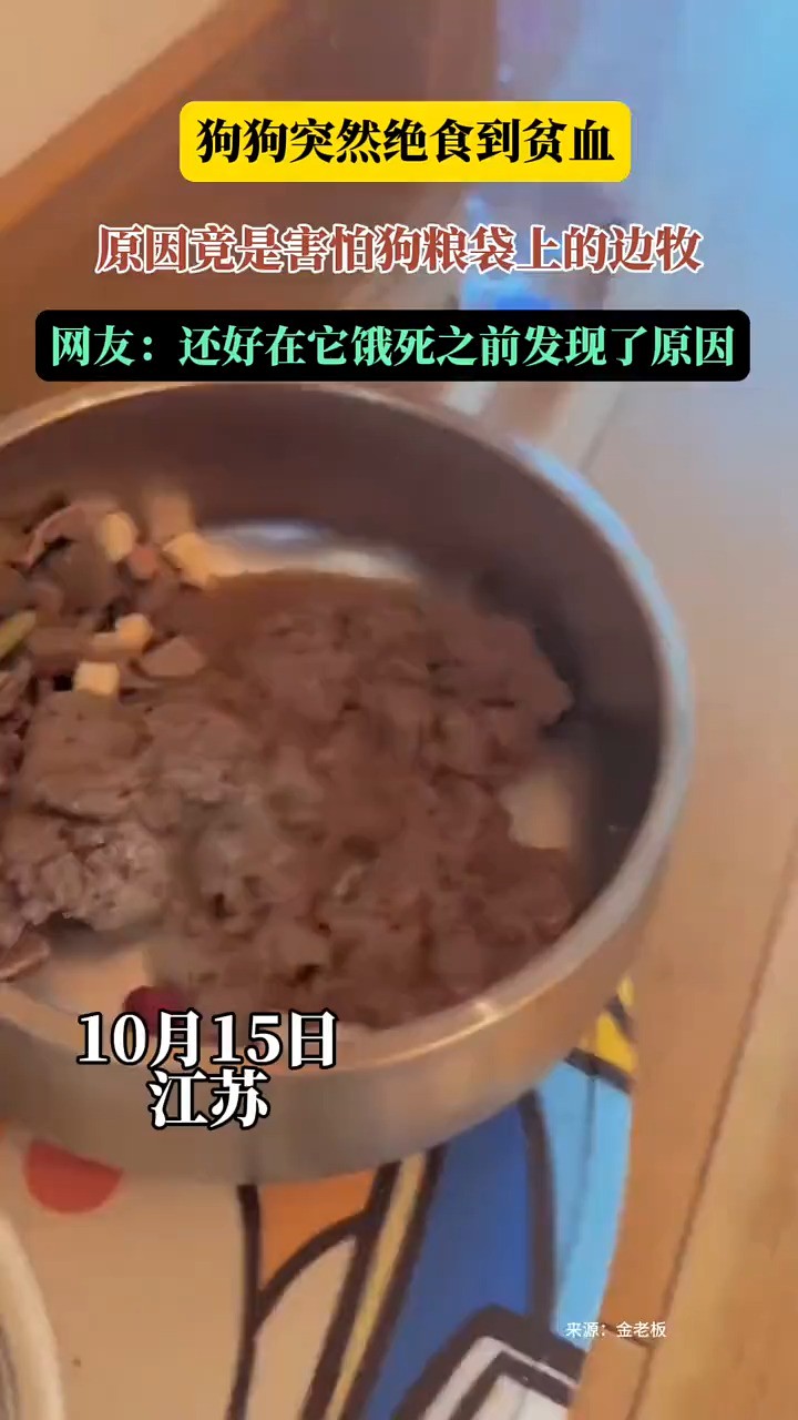 狗狗突然绝食到贫血 原因竞是售怕狗粮袋上的边牧 网友:还好在它饿死之前发现了原因