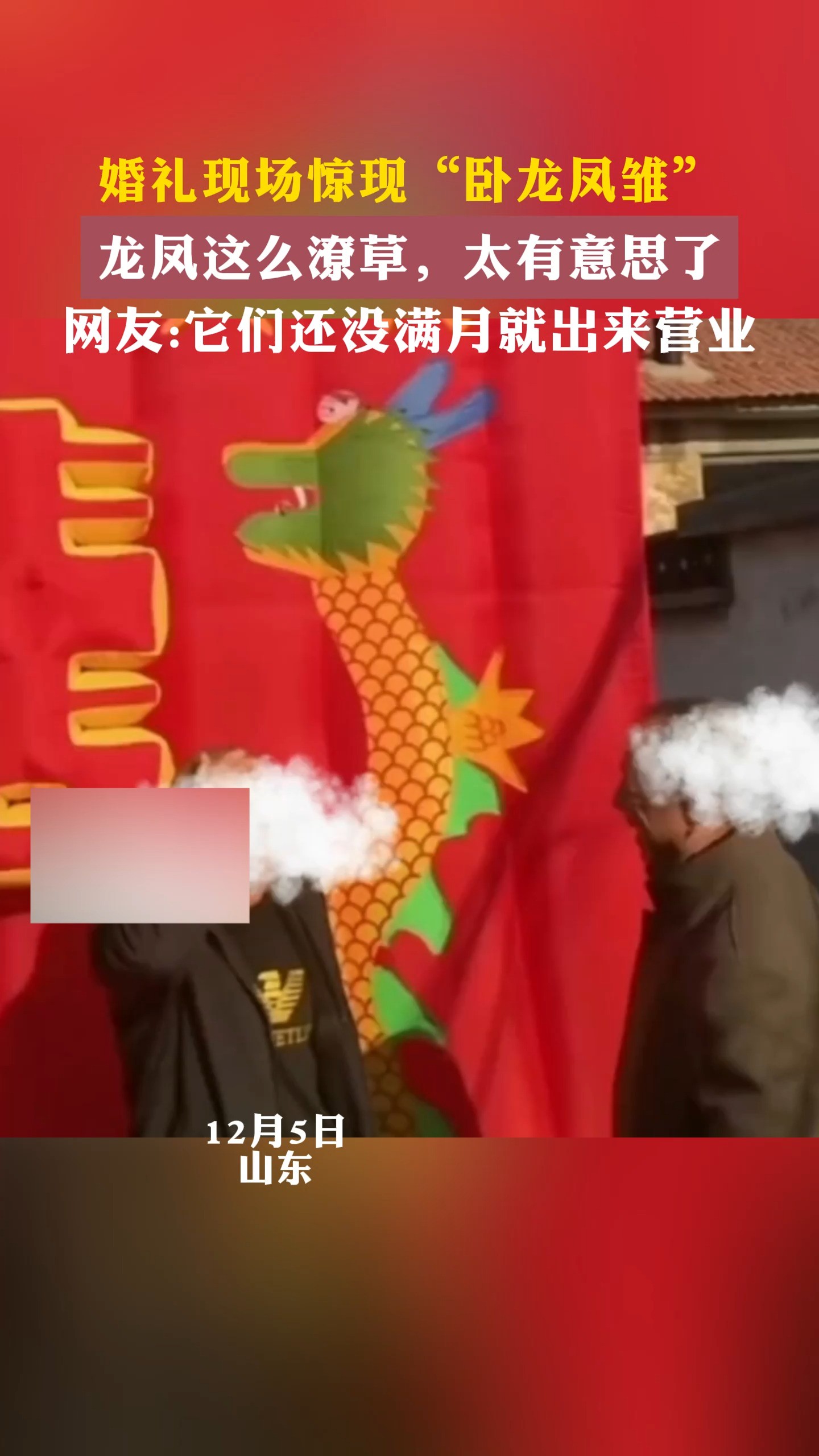 婚礼现场惊现“卧龙凤雏”龙凤这么潦草,太有意思了网友:它们还没满月就出来营业