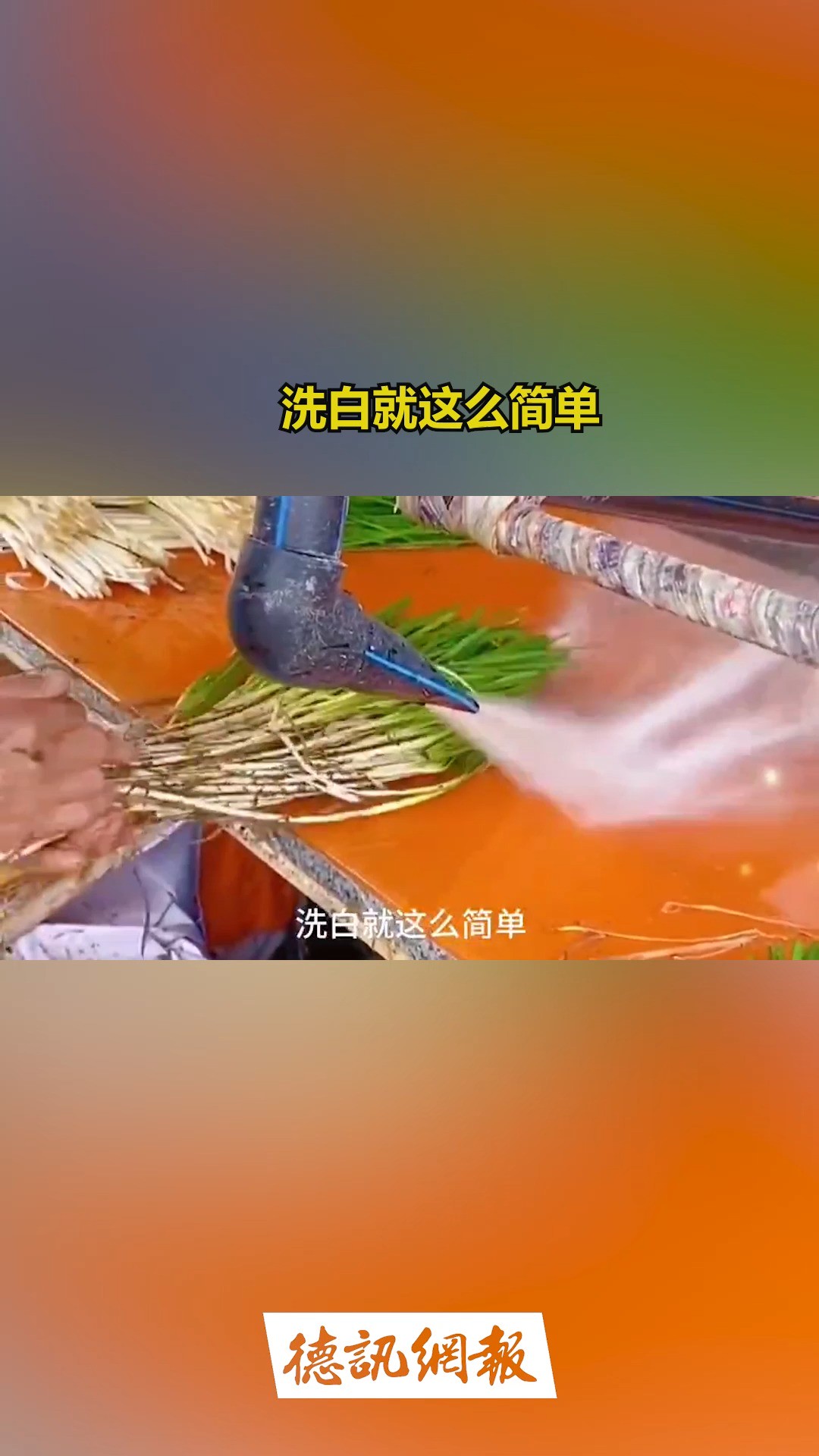 洗白就这么简单