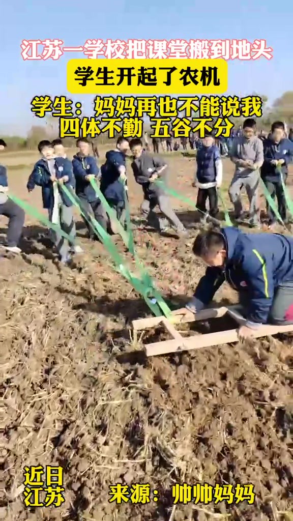 课堂走进田间地头,学生开上农机,做四体要勤 五谷会分的好少年