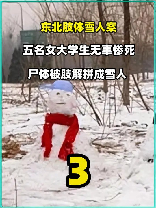  5.东北发生肢体雪人案,五名女大学生无辜惨死,尸体被肢解拼成雪人 