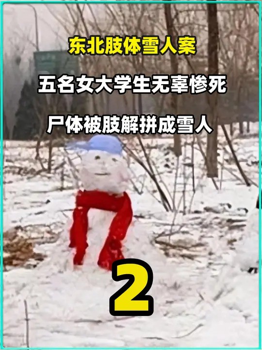 3 .东北肢体雪人案,有五名女大学生无辜惨死,尸体被肢解拼成雪人 