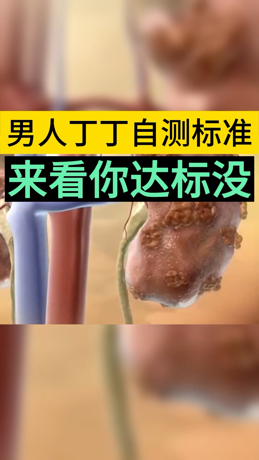 男人自测丁丁标准,来看你达标了吗#男性健康 #生活处处有妙招 