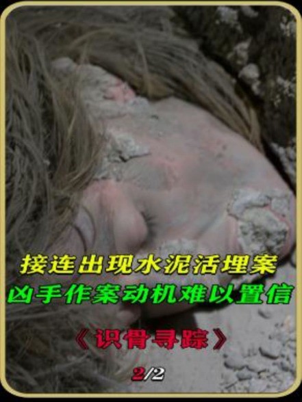 作案动机让人难以置信#美剧 #犯罪心理 