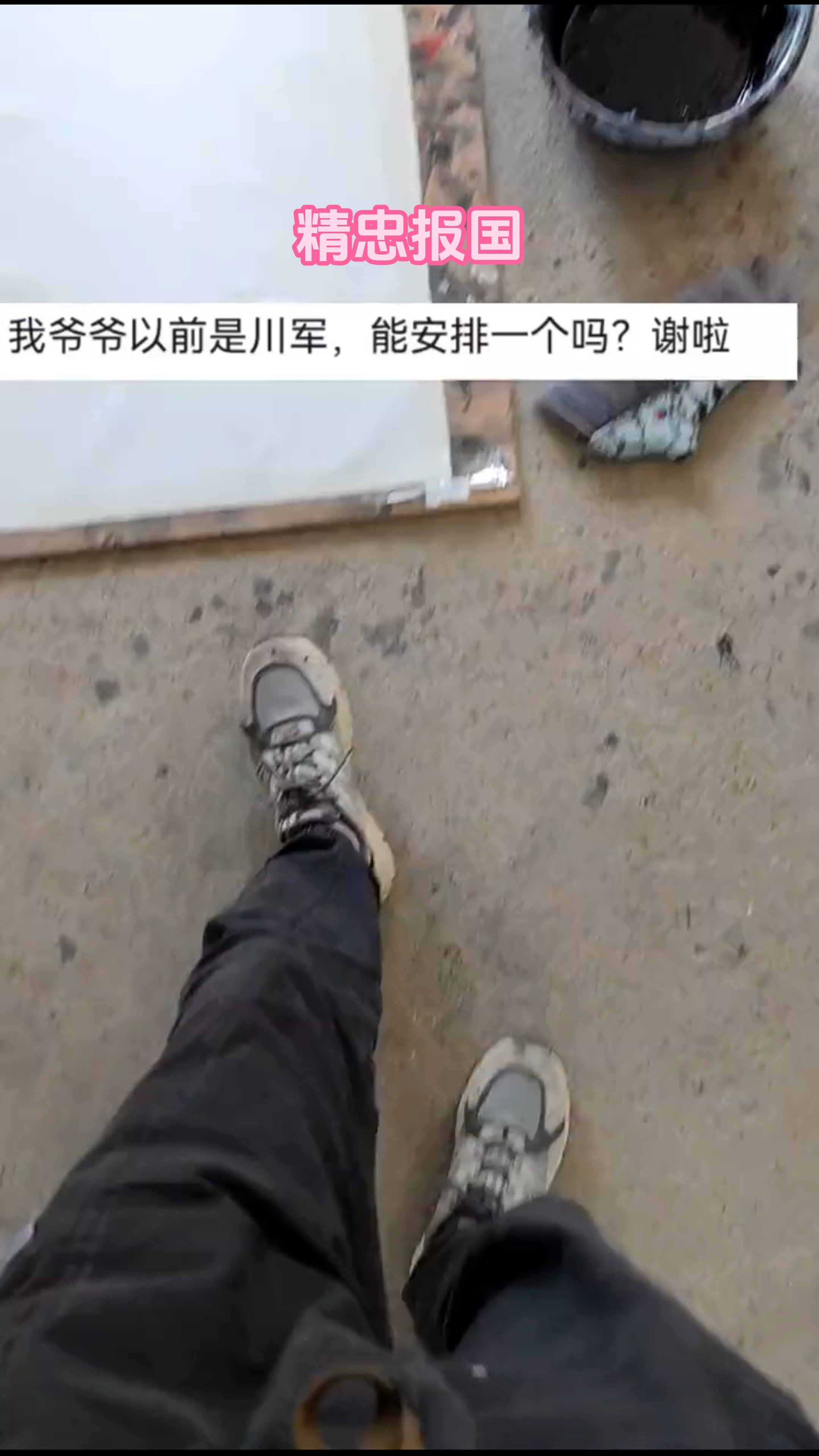 精忠报国