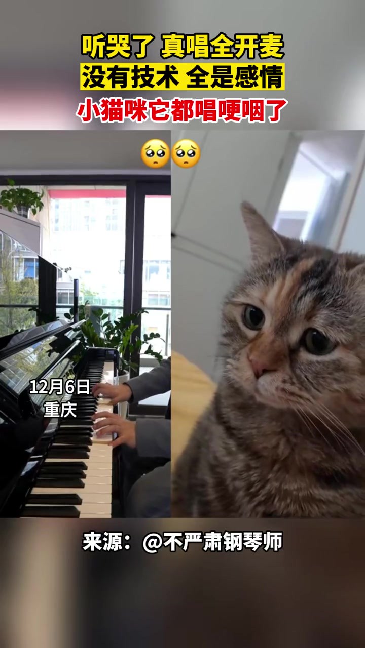 你见过会唱歌的猫咪么?