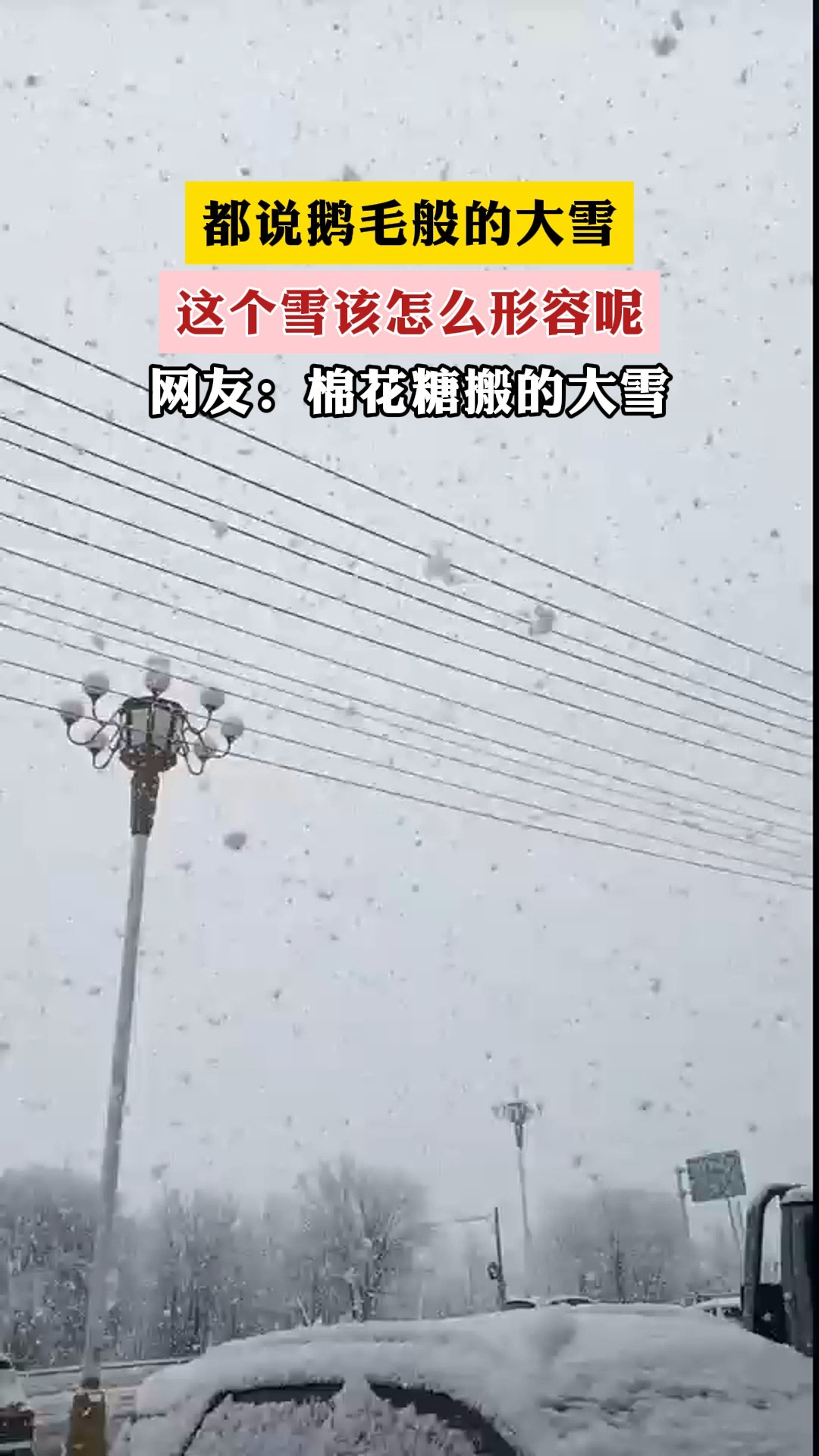 都说鹅毛般的大雪 ,这个雪该怎么形容呢. 网友:棉花糖搬的大雪