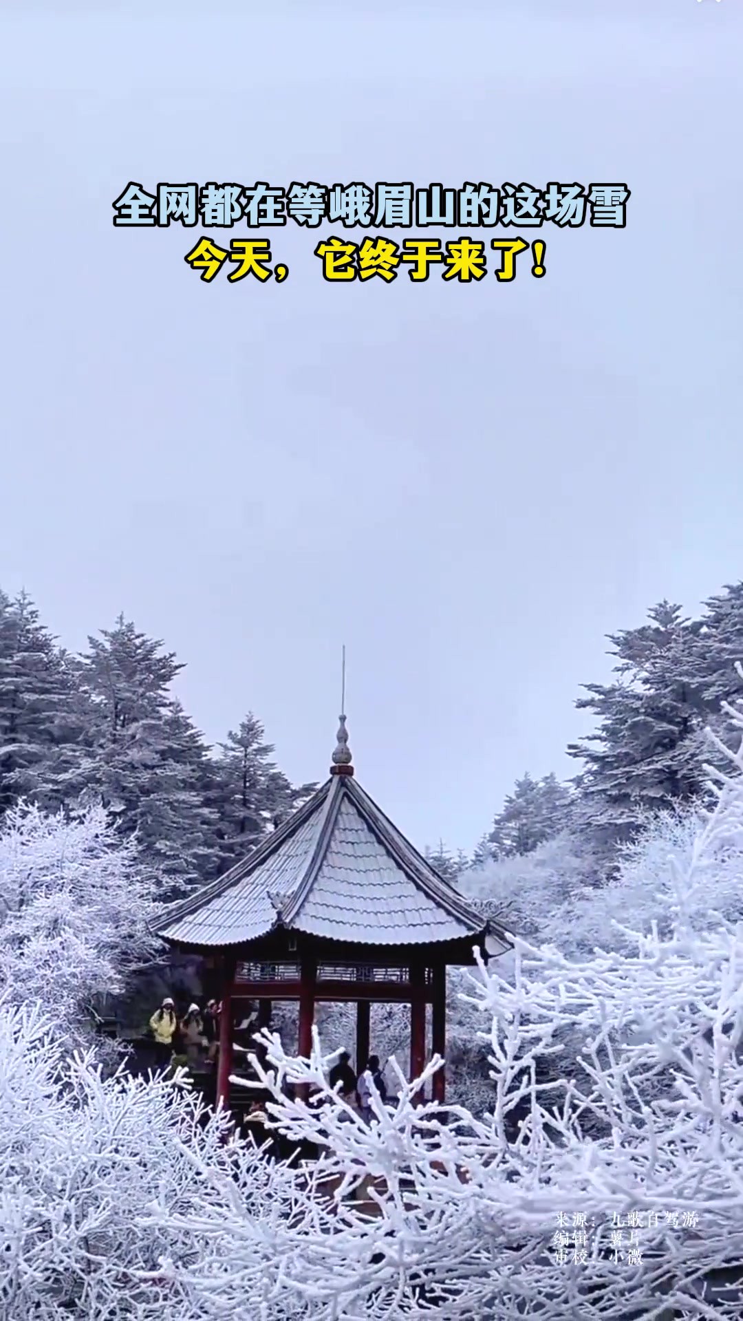 全网都在等峨眉山的这场雪,今天它终于来了! 