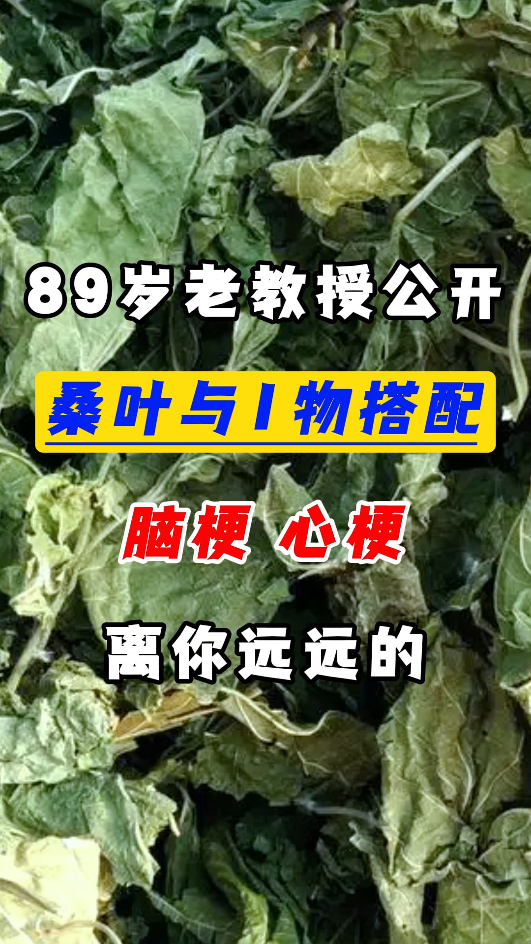 89岁老教授公开:桑叶与1物搭配,脑梗、心梗离你远远的