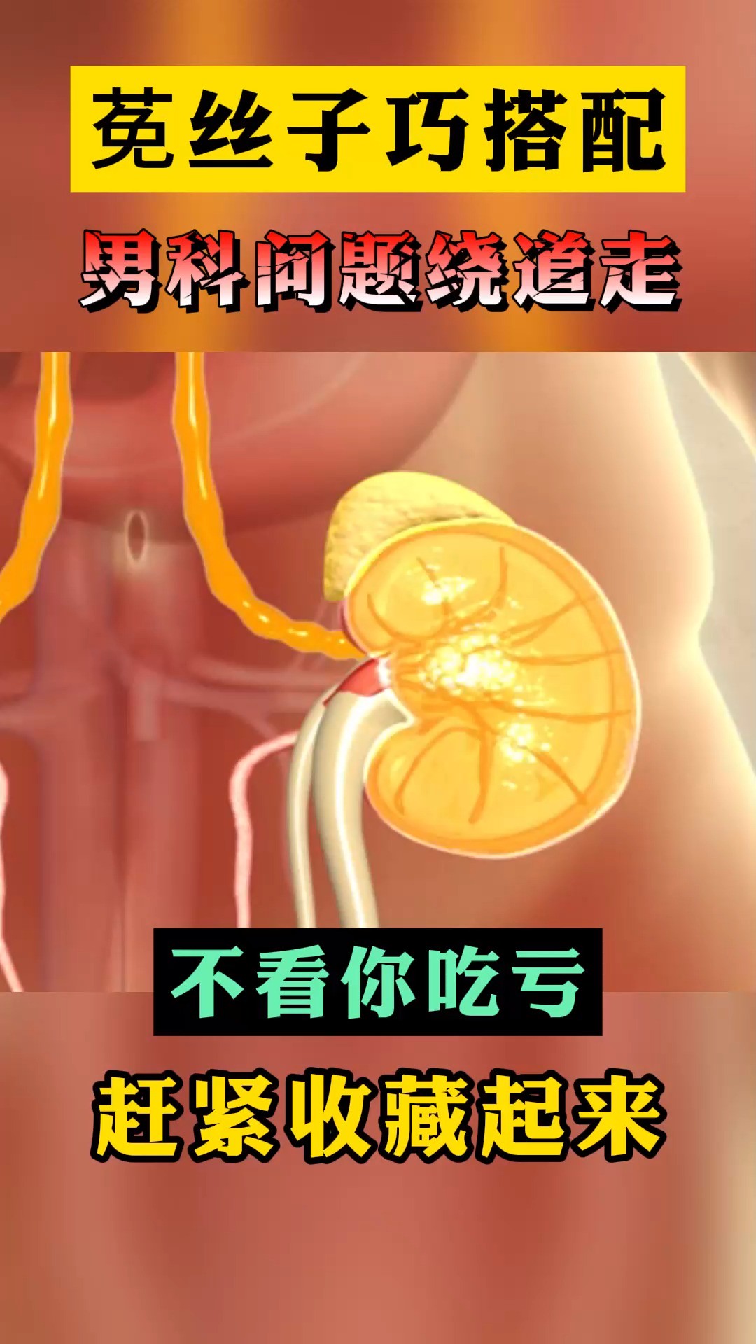 莬丝子巧搭配,男科问题绕道走,不看你吃亏#男性健康 #健康科普 