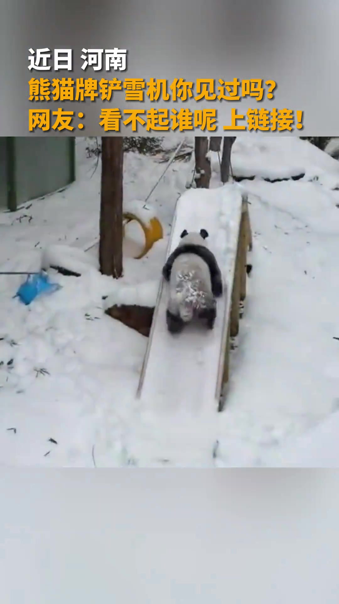 熊猫牌铲雪机你见过吗?网友:看不起谁呢 上链接!