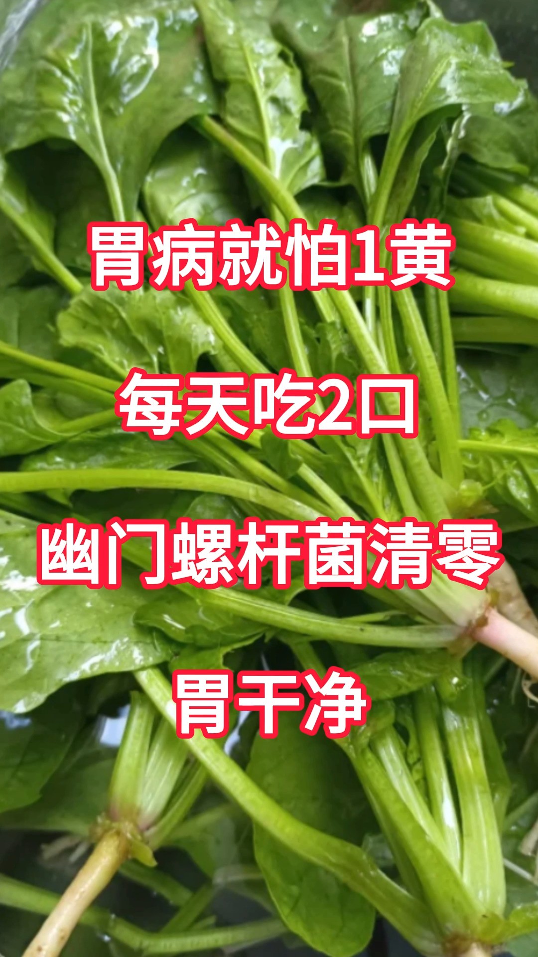 胃病就怕1黄,每天吃2口,幽门螺杆菌清零,胃干净