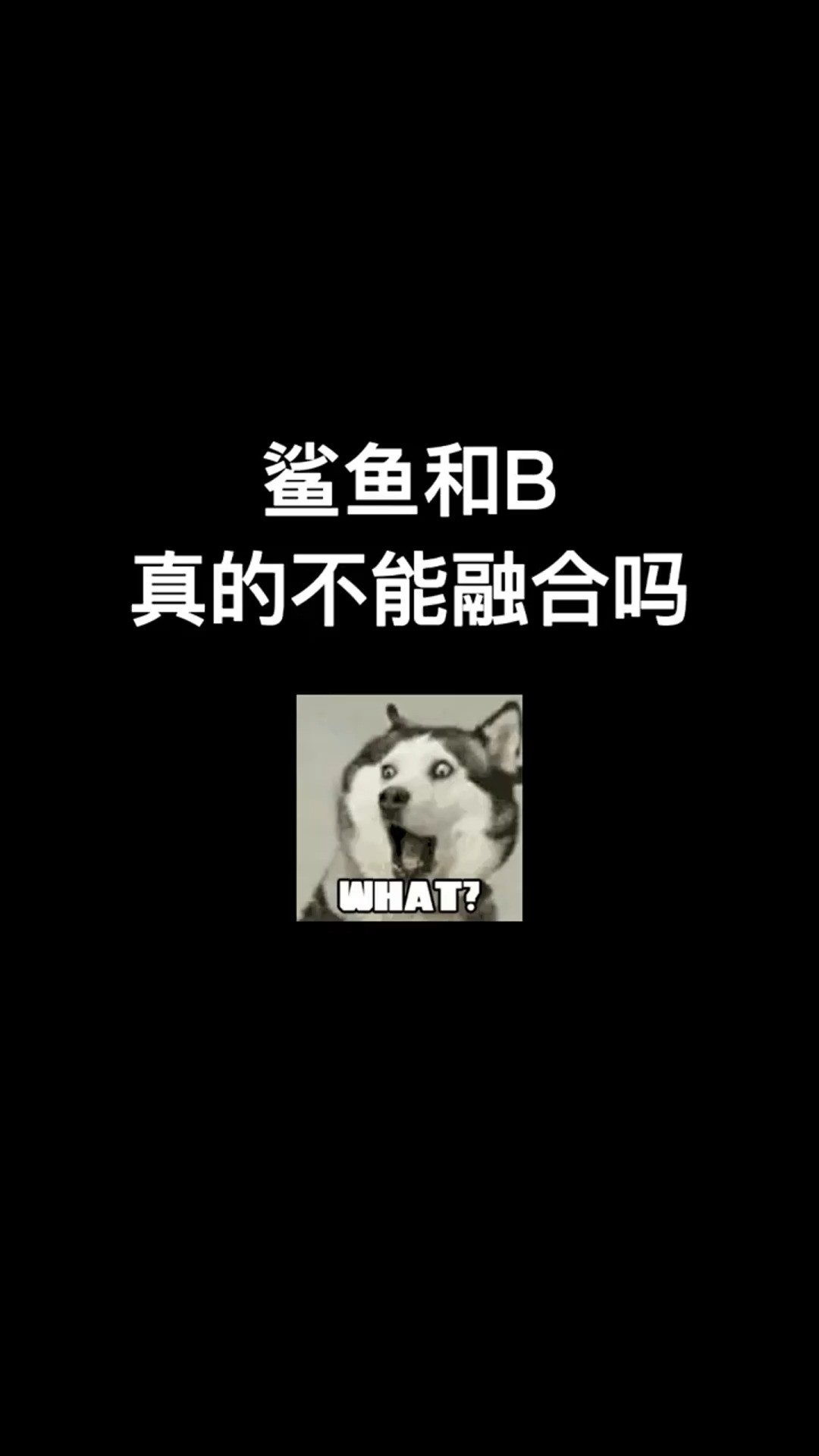 鲨鱼和B能结合成什么样的LOGO呢?#开始上才艺! #logo设计 #创意 #原创 #商标设计 #创业 